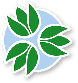 Logo Pachamama Raymi